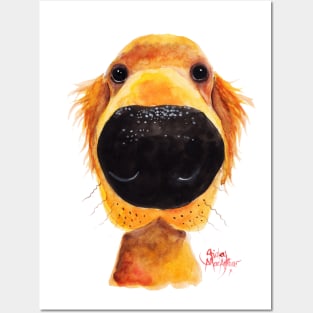 Labrador/Retriever ' RoY ' BY SHiRLeY MacARTHuR Posters and Art